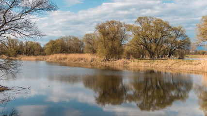 Beautiful reflections near Thundorf - Danube - Bavaria - Germany