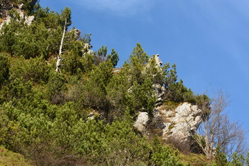prealpi