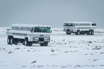 Tundra buggies at Churchill, Canada