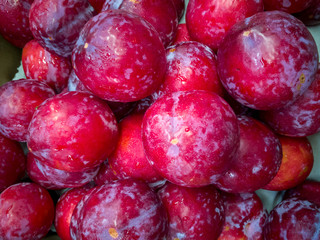 Red prunes for sales