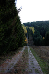 Ein alter Kolonnenweg an der Grenze