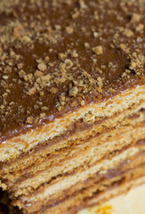 slice of sweet homemade honey cake with condensed milk cream flows out (cross-section). close-up photo. selected focus. vertical photo
