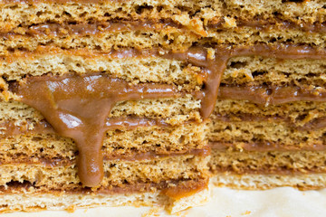 slice of sweet homemade honey cake with condensed milk cream flows out (cross-section). close-up photo. selected focus