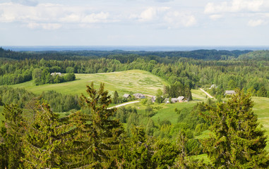 Haanja view