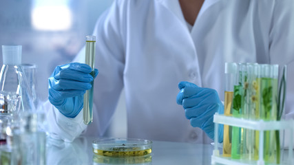 Scientist holding test tube with herbal liquid, perfumery extract, cosmetology