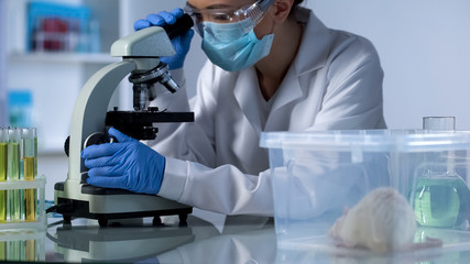 Researcher developing cancer medication in laboratory, animal testing experiment