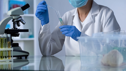 Scientist dripping test liquid in tube, developing new medicine, rodents testing