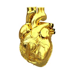 Golden anatomical heart. 3d render