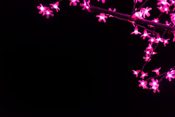 Obraz na płótnie Canvas Light flowers on the black background with space for your text