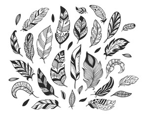 Fototapeta premium Hand drawn feathers. Sketch bird feather, retro artistic drawing ink pen and birds feathering vector isolated illustration set