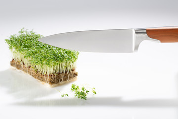 Kresse mit Messer