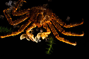 Whole red lobster with fresh veggies, slices of lemon and ice on black background. 