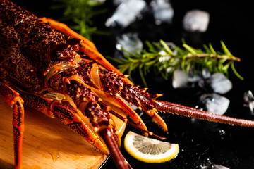 Whole red lobster with fresh veggies, slices of lemon and ice on black background. 