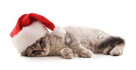  Kitten in the hat Santa.