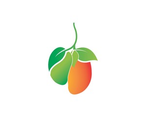 mango icon logo vector