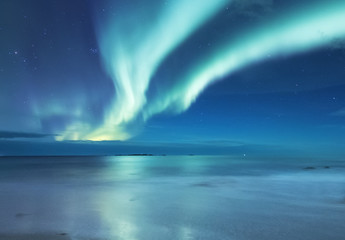 Aurora borealis on the Lofoten islands, Norway. Green northern lights above ocean. Night sky with...