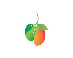 mango icon logo vector