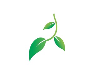 Logos of green leaf ecology nature element vector