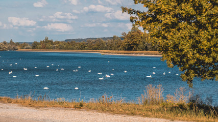 Beautiful view at Dingolfing lake - Bavaria - Germany