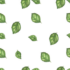 Vegan watercolor seamless pattern with basil leaves