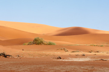 Fototapeta na wymiar Sanddünen im Sossusvlei, Namibia