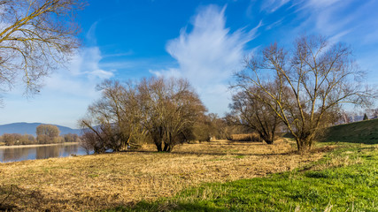 Beautiful view near Steinkirchen-Bavaria-Germany