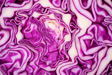 Obraz premium Appetizing fresh salad of blue cabbage and green parsley with olive oil.