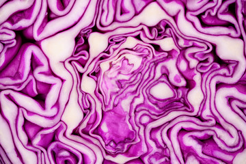 Obraz premium Appetizing fresh salad of blue cabbage and green parsley with olive oil.