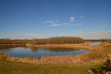 Landscape with Pond and Blue Sky