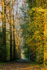 Beautiful view near landau-Isar-Bavaria-Germany