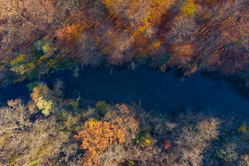 Fototapeta na wymiar River in autumn forest