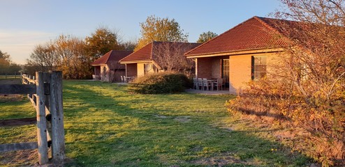 Ferienhaus und Koppel