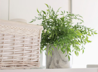 Basket with Plant