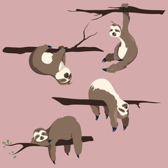 Sloths cartoon animals vector clip art . Illustration of cute character hand drawn animals .