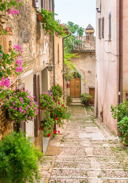 Fototapeta Malowniczy widok w Trevi, starożytnej wiosce w regionie Umbria we Włoszech.