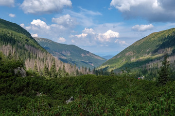 western carpathian mountain panorama in clear day