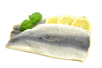 śledź