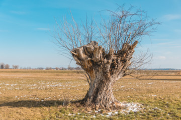 Beautiful view near Wallersdorf - Bavaria - Germany