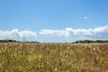 Countryside near Grotta della Poesia in Salento Italy