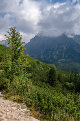 western carpathian mountain panorama in clear day