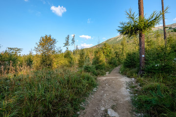 country gravel road leading up to the mountains