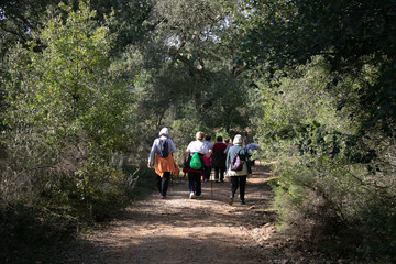 Personas en grupo por el bosque 