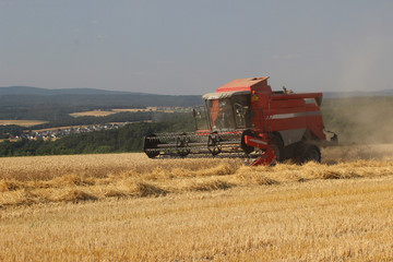 Fototapeta premium Kombajn zbożowy na zbiory
