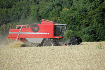 Mähdrescher bei der Ernte