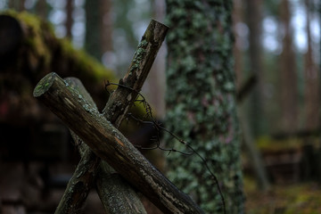 old wooden trenshes in Latvia. reconstruction of first world war. Lozmetejkalns