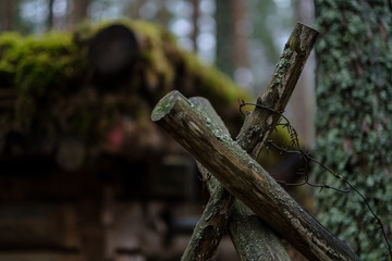 old wooden trenshes in Latvia. reconstruction of first world war. Lozmetejkalns