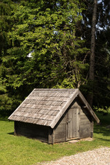 A wooden barn surrounded by mixed forest. Old cottage on green environment background.