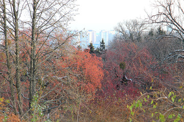 view of Kiev in late autumn