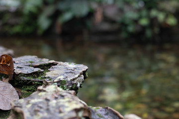 Stone lake