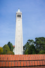 Sather tower (the Campanile) on a blue sky background, Berkeley, San Francisco bay, California